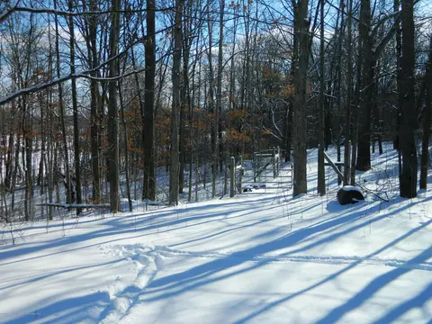 663 Rolfe Rd, Mason, MI 48854 photo 7