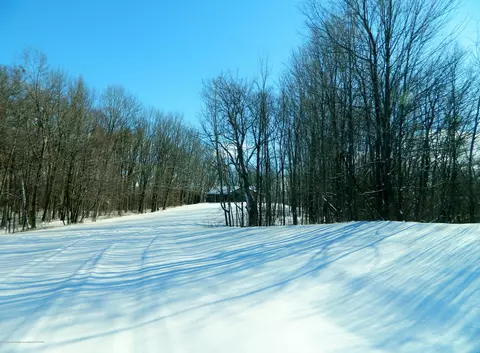 663 Rolfe Rd, Mason, MI 48854 photo 9
