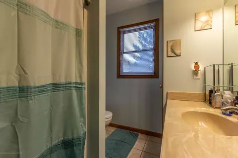 1545 Downing St, Haslett, MI 48840 photo 30