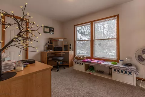 1545 Downing St, Haslett, MI 48840 photo 26