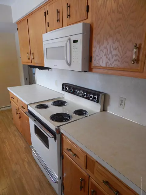 1981 Theresa Ave, Dewitt, MI 48820 photo 15