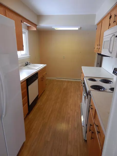 1981 Theresa Ave, Dewitt, MI 48820 photo 14