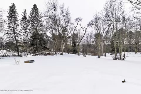 12722 Holly Ln, Dewitt, MI 48820 photo 20