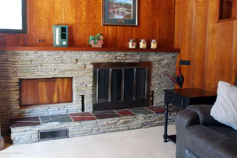 1010 E Webb Dr, Dewitt, MI 48820 photo 11