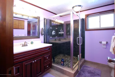 1010 E Webb Dr, Dewitt, MI 48820 photo 14