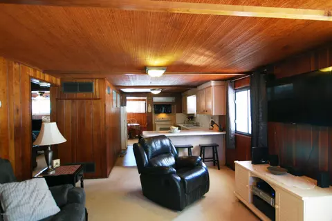 1010 E Webb Dr, Dewitt, MI 48820 photo 10