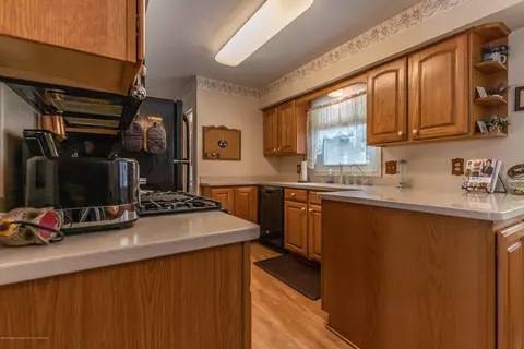 12549 Ro Dic Don Dr, Dewitt, MI 48820 photo 3