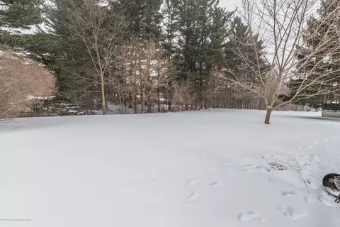 12549 Ro Dic Don Dr, Dewitt, MI 48820 photo 11