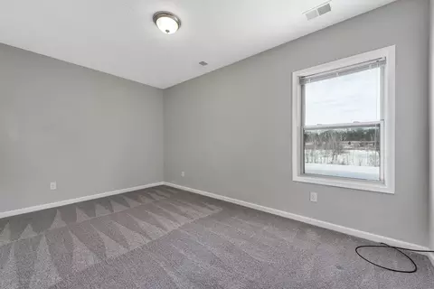 1232 Lobelia Ln, Dewitt, MI 48820 photo 30