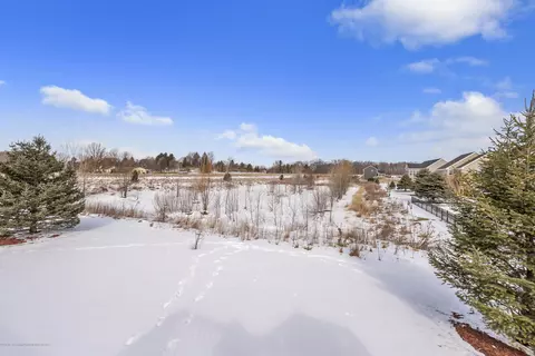 1232 Lobelia Ln, Dewitt, MI 48820 photo 36