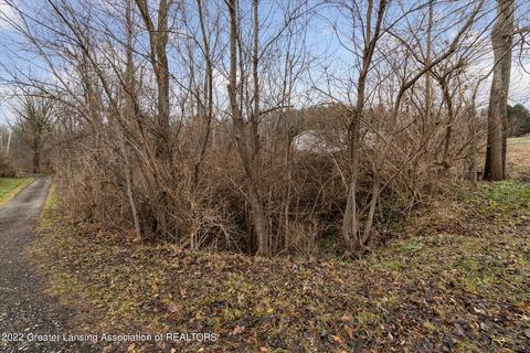 0 E Clark Rd, Bath, MI 48808 photo 11