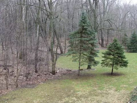 13255 White Pine Dr, Dewitt, MI 48820 photo 22