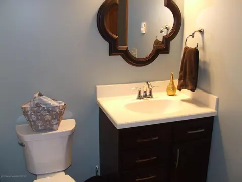 13255 White Pine Dr, Dewitt, MI 48820 photo 21