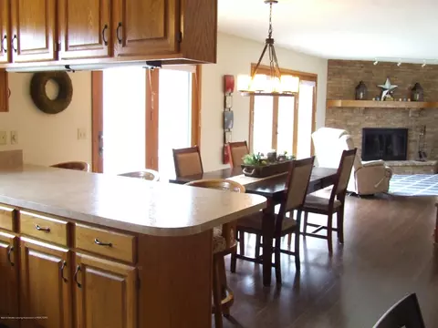 13255 White Pine Dr, Dewitt, MI 48820 photo 4