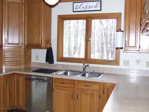13255 White Pine Dr, Dewitt, MI 48820 photo 3