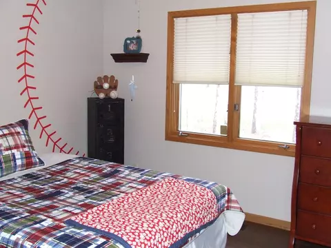 13255 White Pine Dr, Dewitt, MI 48820 photo 12
