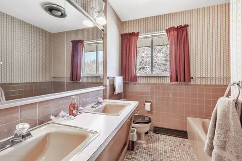 1459 E Webb Rd, Dewitt, MI 48820 photo 19