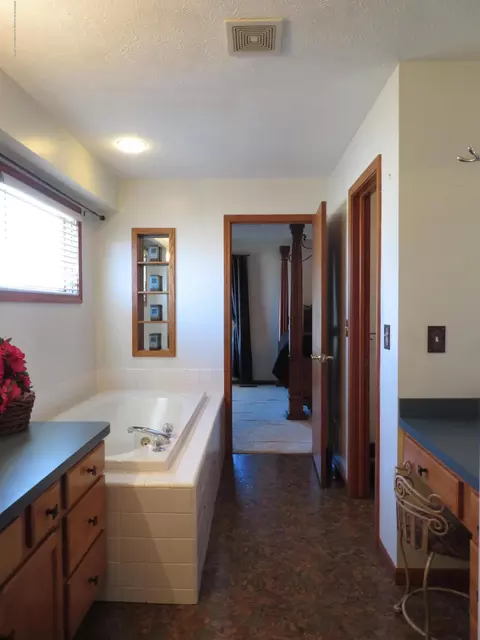 1149 River Oaks Dr, Dewitt, MI 48820 photo 19