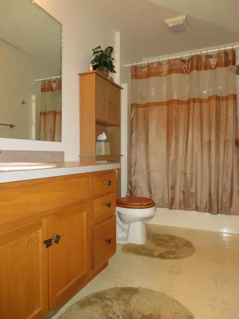 1149 River Oaks Dr, Dewitt, MI 48820 photo 25