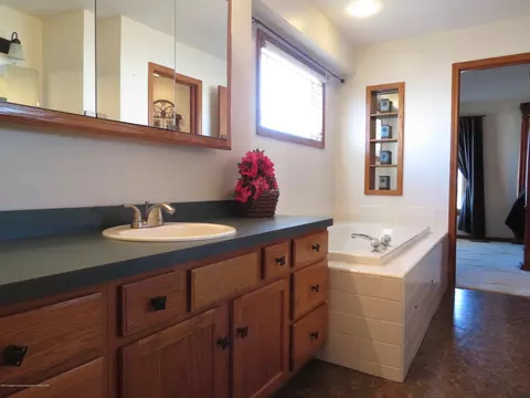 1149 River Oaks Dr, Dewitt, MI 48820 photo 20