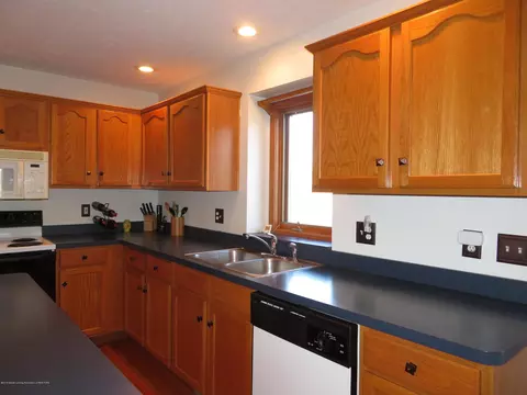 1149 River Oaks Dr, Dewitt, MI 48820 photo 13