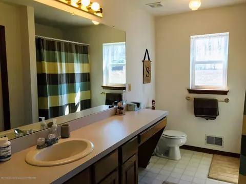 6078 Goodwin Rd, Lyons, MI 48851 photo 11