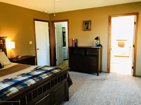 6078 Goodwin Rd, Lyons, MI 48851 photo 9