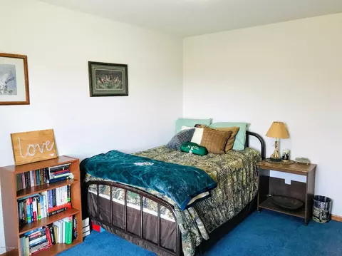 6078 Goodwin Rd, Lyons, MI 48851 photo 16