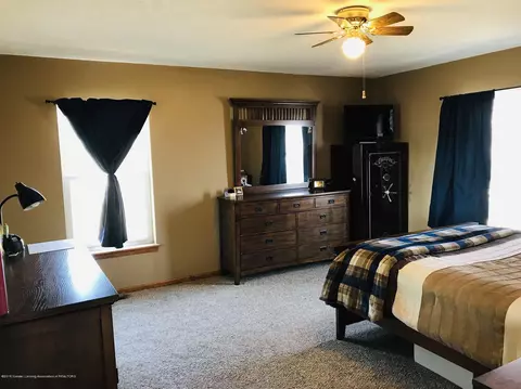 6078 Goodwin Rd, Lyons, MI 48851 photo 7