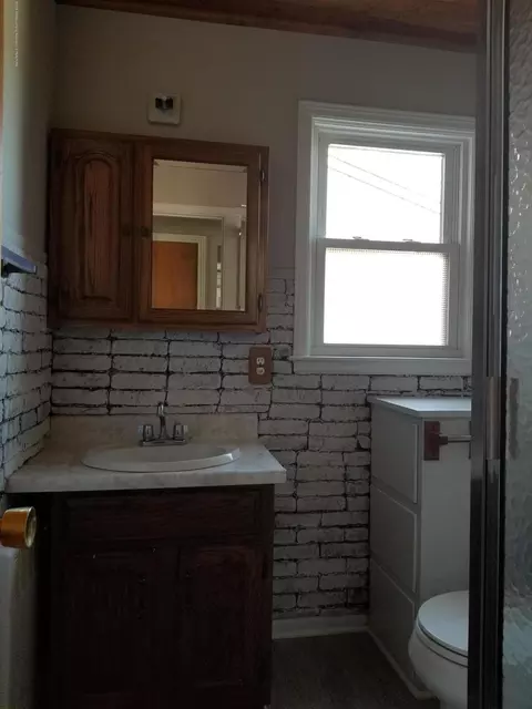 1114 Turner St, Dewitt, MI 48820 photo 18