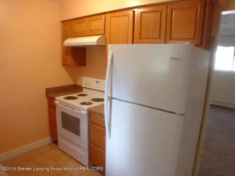 1894 Phillips Ave, Holt, MI 48842 photo 20