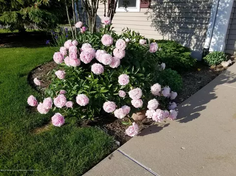 15053 Classic Dr, Bath, MI 48808 photo 27