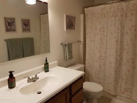 1725 Eifert Rd, Holt, MI 48842 photo 31