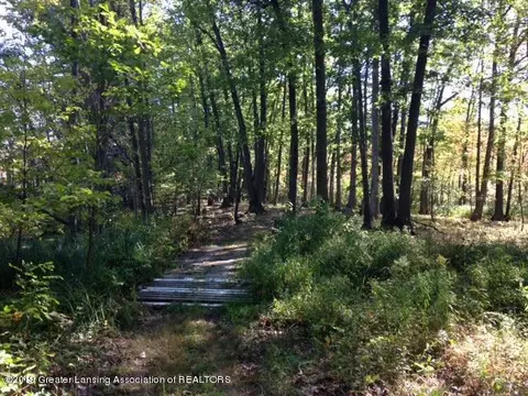 11701 S Wacousta Rd, Eagle, MI 48822 photo 58
