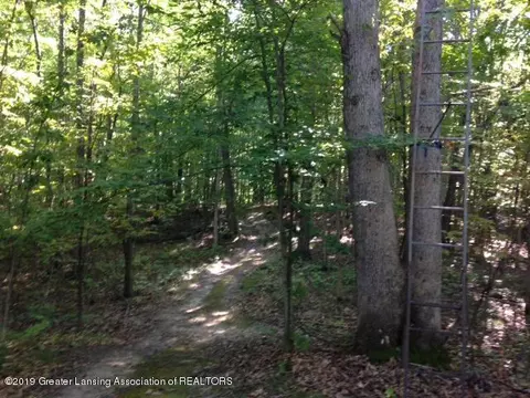 11701 S Wacousta Rd, Eagle, MI 48822 photo 59