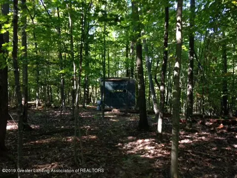 11701 S Wacousta Rd, Eagle, MI 48822 photo 52