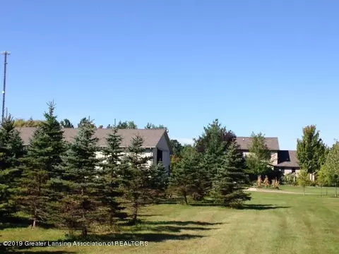 11701 S Wacousta Rd, Eagle, MI 48822 photo 51