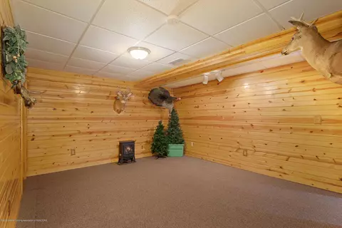 11701 S Wacousta Rd, Eagle, MI 48822 photo 25