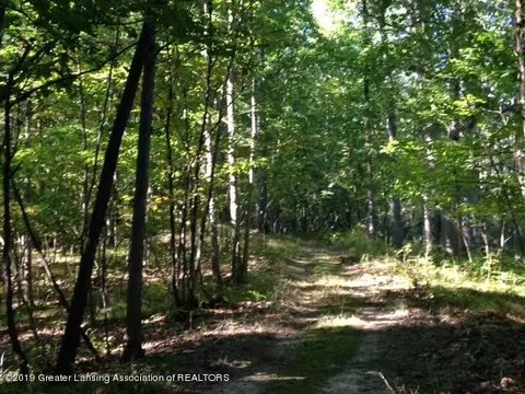 11701 S Wacousta Rd, Eagle, MI 48822 photo 50