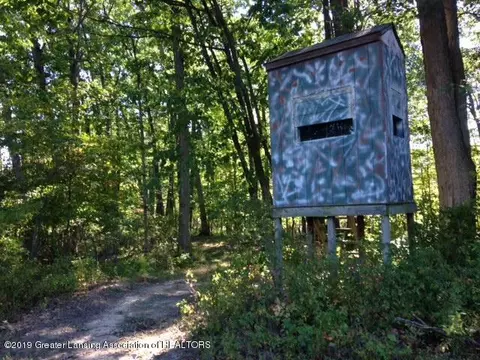 11701 S Wacousta Rd, Eagle, MI 48822 photo 55