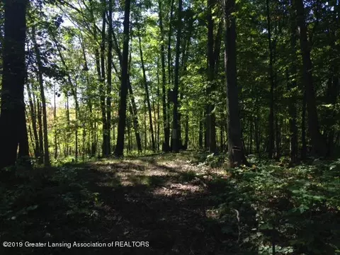 11701 S Wacousta Rd, Eagle, MI 48822 photo 56