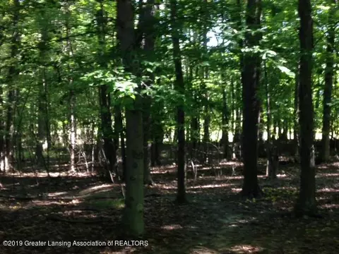 11701 S Wacousta Rd, Eagle, MI 48822 photo 53