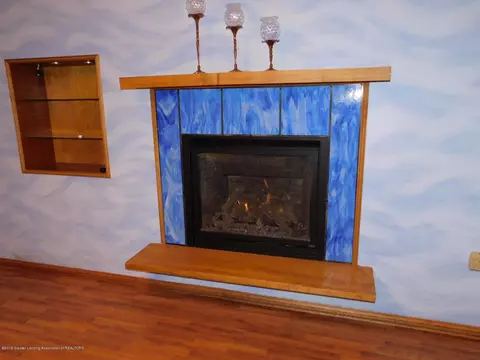 329 E Cherry St, Mason, MI 48854 photo 26