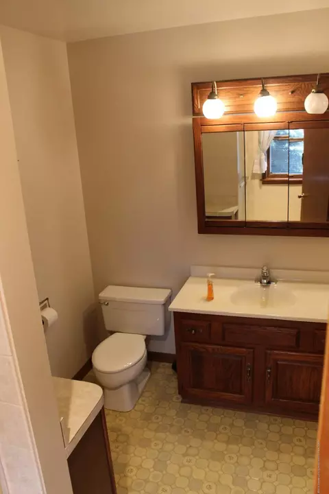 436 N Maple St, Fowler, MI 48835 photo 13
