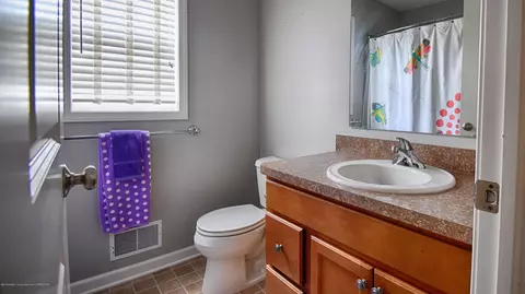 409 Snapdragon Ln, Dewitt, MI 48820 photo 15
