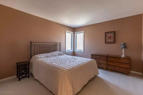 306 W Spring Meadows Ln, Dewitt, MI 48820 photo 48