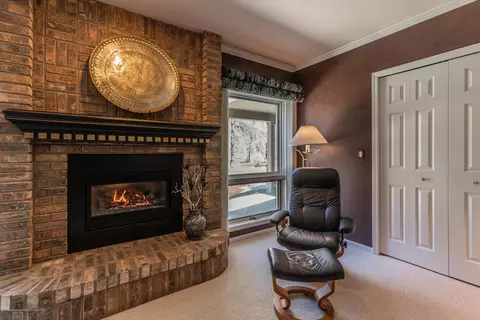 306 W Spring Meadows Ln, Dewitt, MI 48820 photo 64