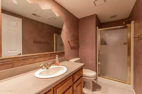 306 W Spring Meadows Ln, Dewitt, MI 48820 photo 59