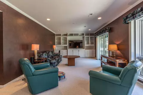 306 W Spring Meadows Ln, Dewitt, MI 48820 photo 56