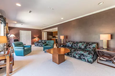 306 W Spring Meadows Ln, Dewitt, MI 48820 photo 55